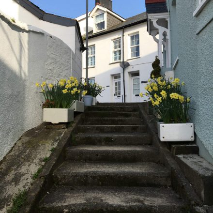 The steps approaching Tegfan holiday cottage in Aberdyfi