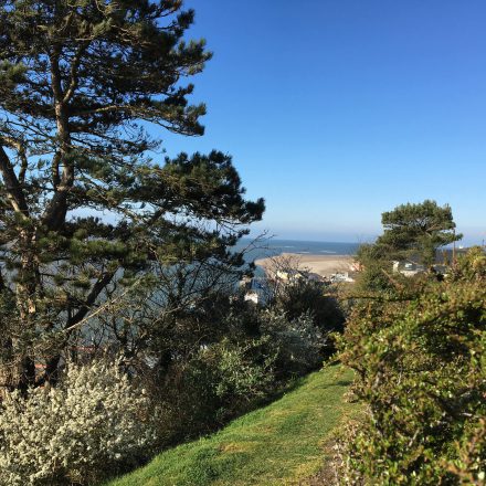 Aberdyfi beach from high viewpoint